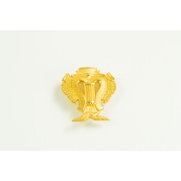AIRFORCE BADGE MUSIC METAL